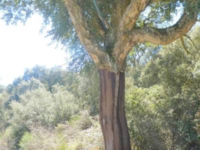 Arribes de Duero zamoranos - Acantilados asombrosos; actividades 12 de octubre actividades divertida